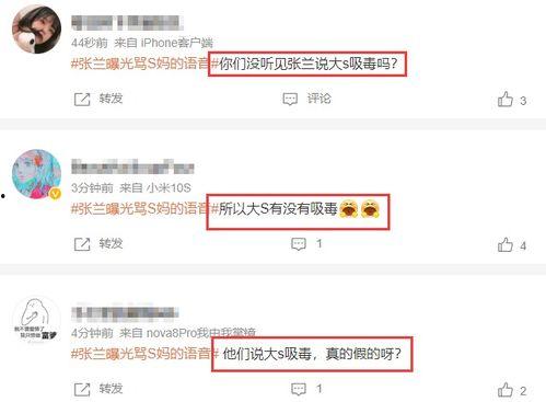 张兰最新爆料完整版,揭秘完整版事件始末